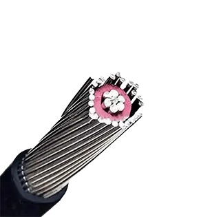 concentric-cables (1).png